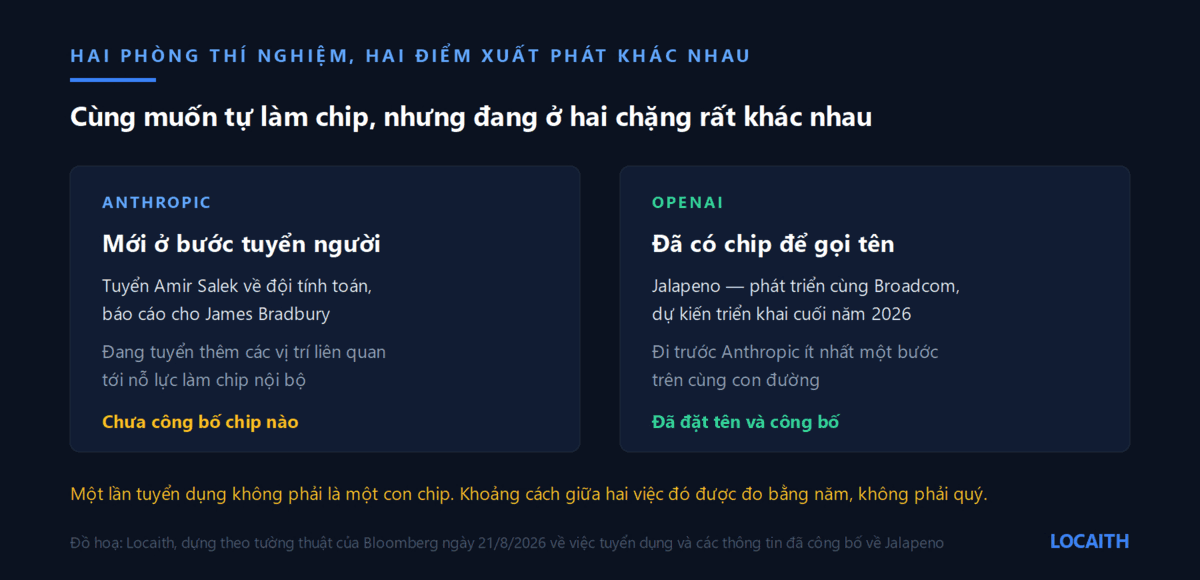 So sánh chặng đường tự làm chip của Anthropic và OpenAI: Anthropic mới ở bước tuyển người, OpenAI đã công bố chip Jalapeno phát triển cùng Broadcom